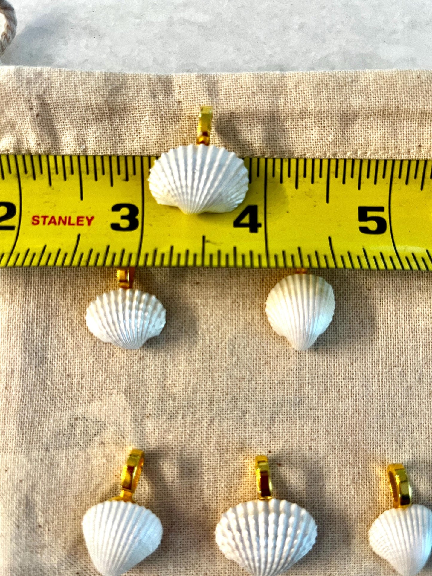 Scallop Seashell Pendant Charm - Small