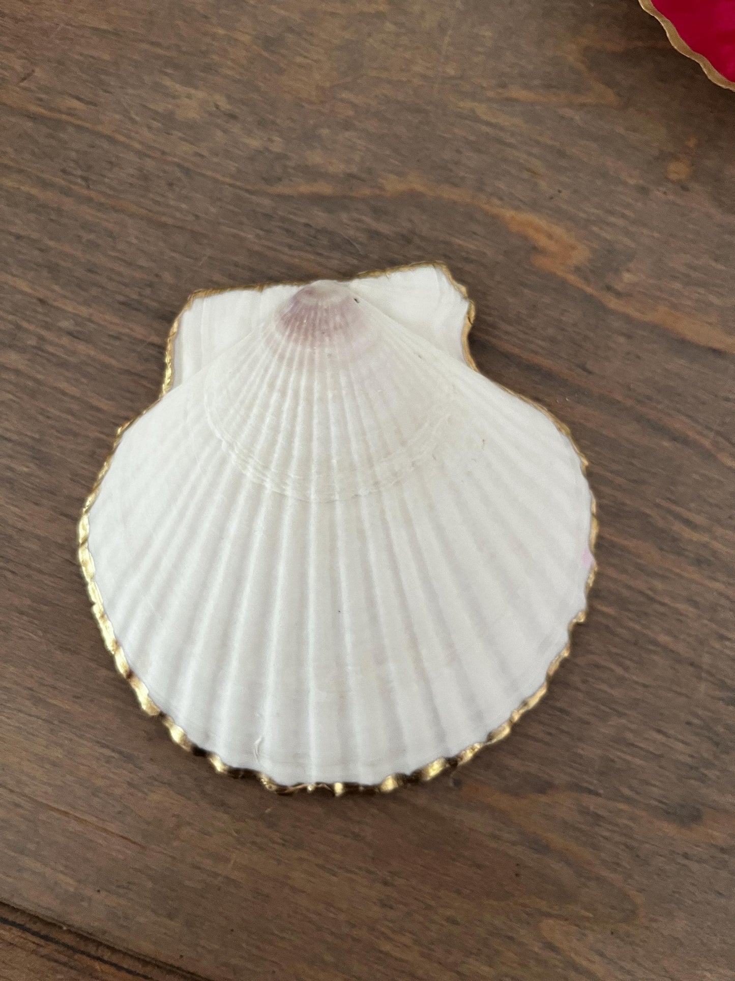 Vibrant Pink Gem Shell: Coastal Jewelry & Trinket Dish