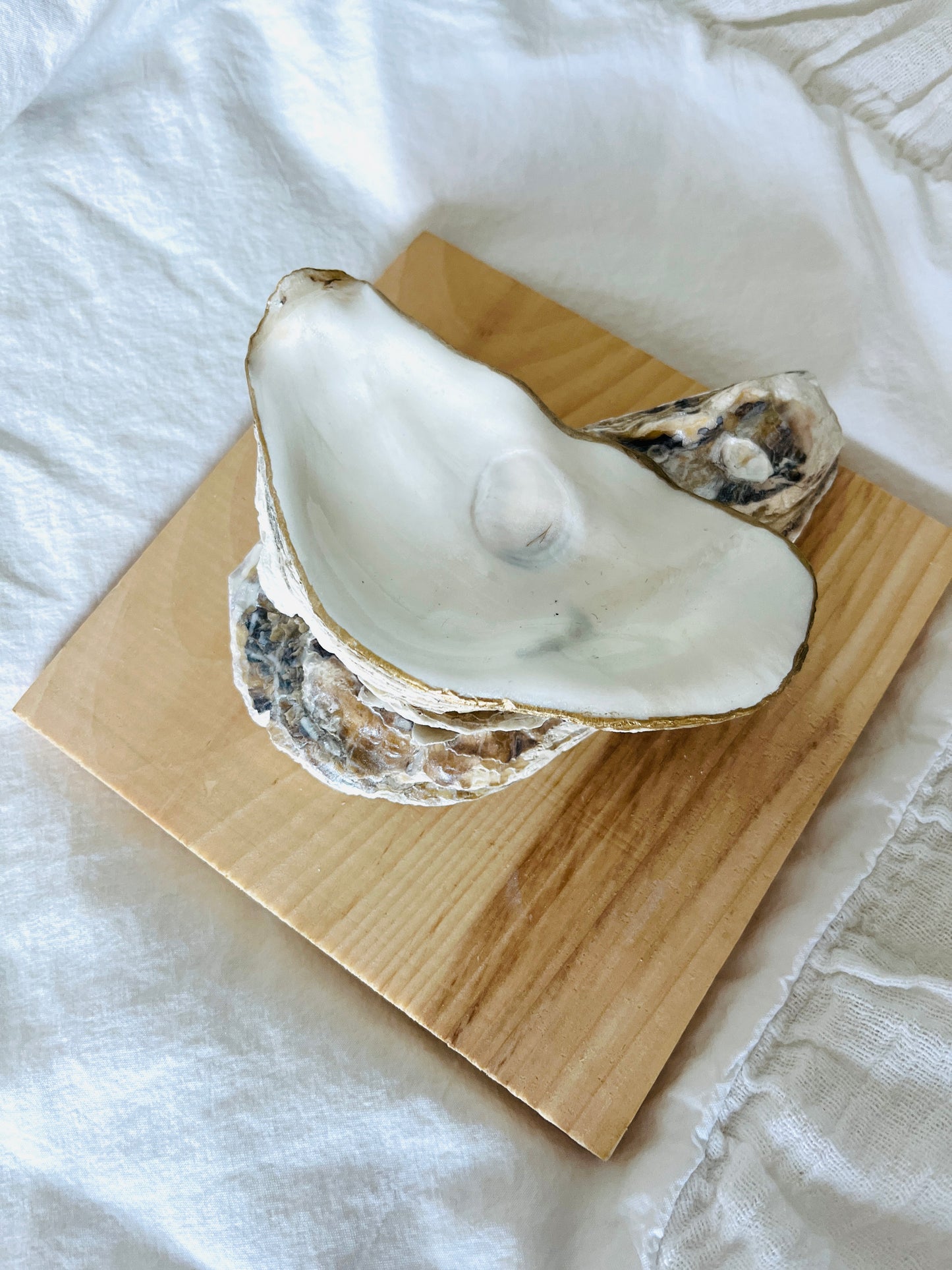 Stacked Oyster Jewelry Dish