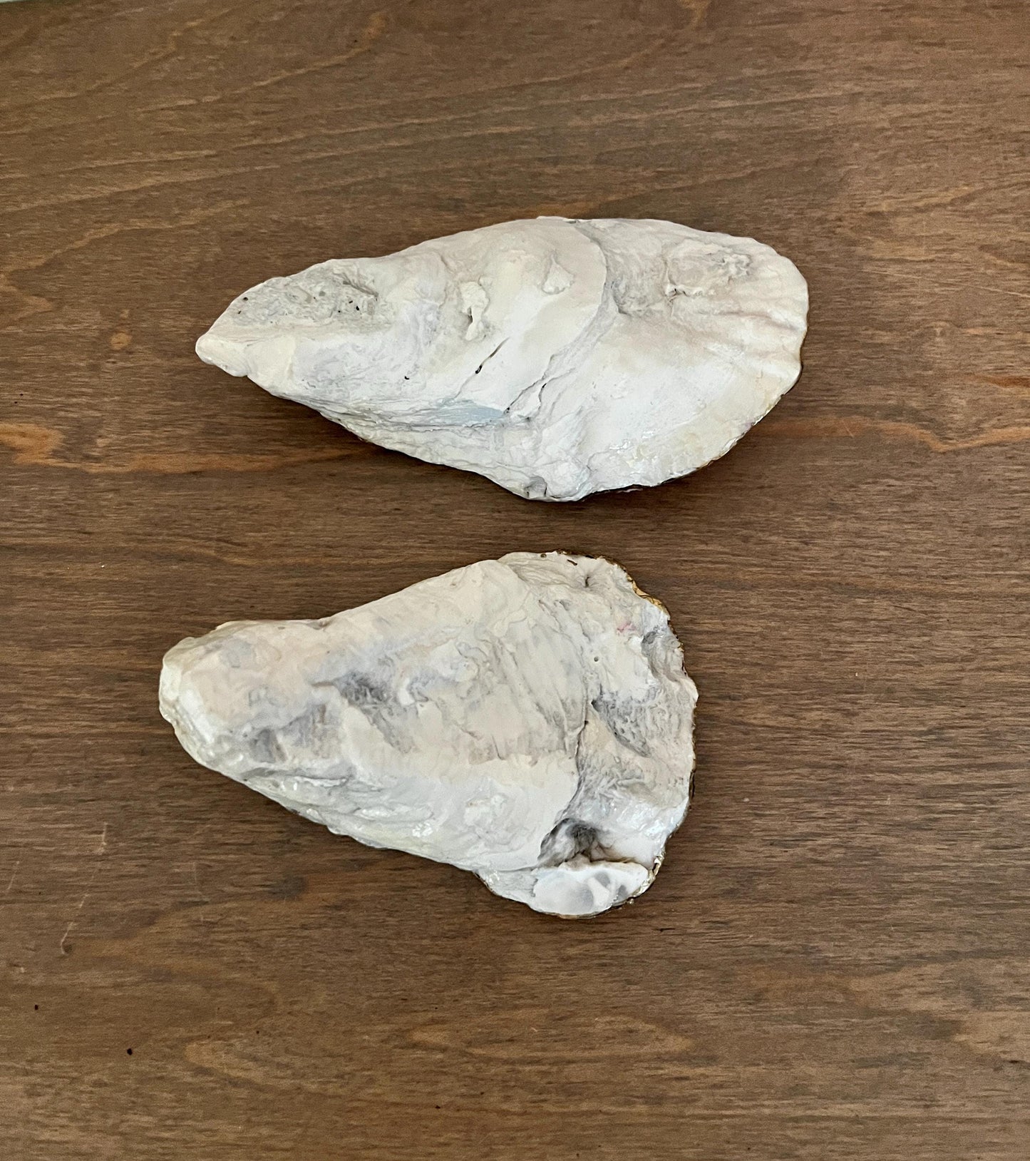 Blue Floral Oyster Shell Jewelry Dish