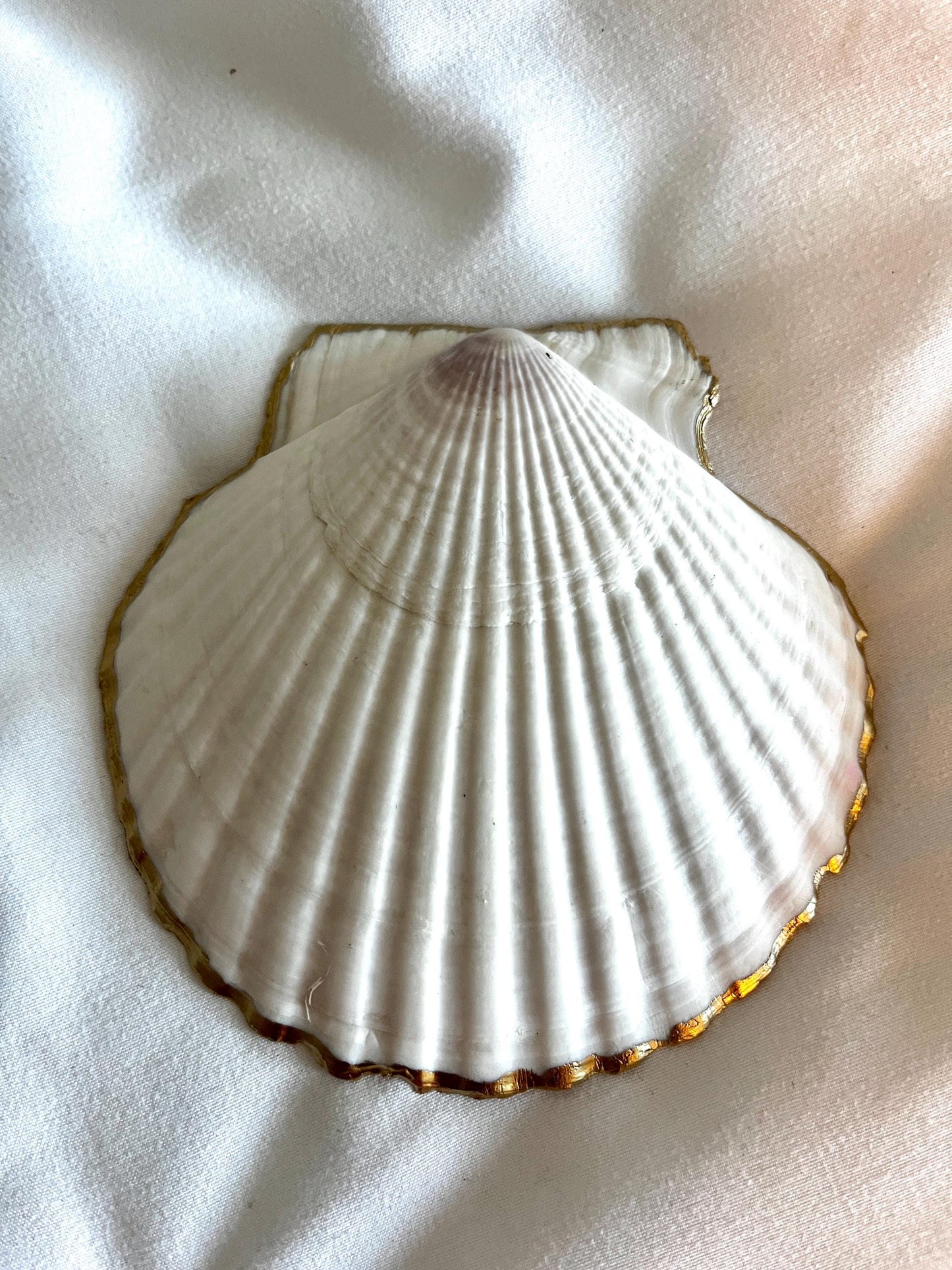 Diamond Pink Shell Trinket Dish: Nautical Jewelry Holder