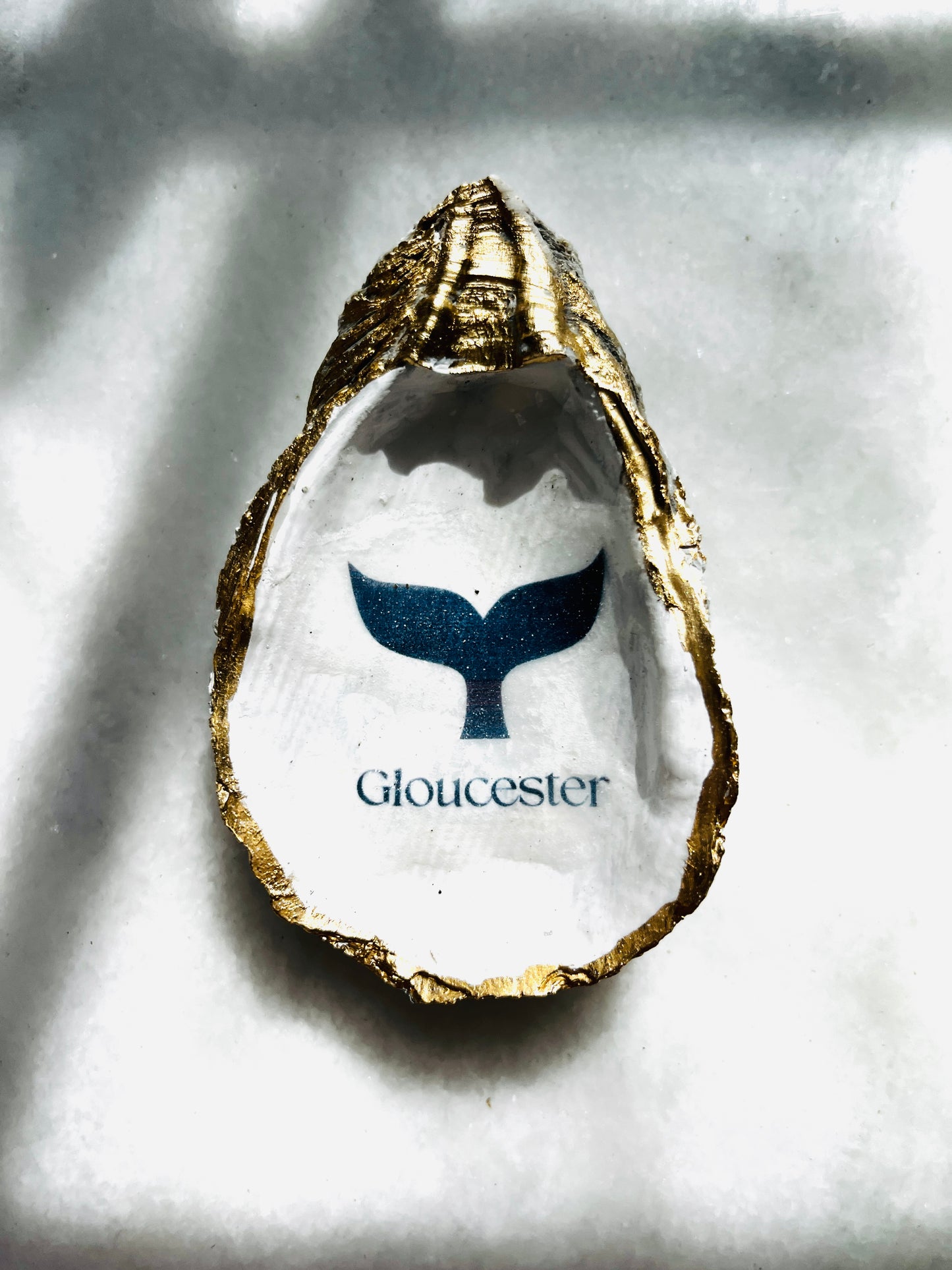 GLOUCESTER Shell Ornament