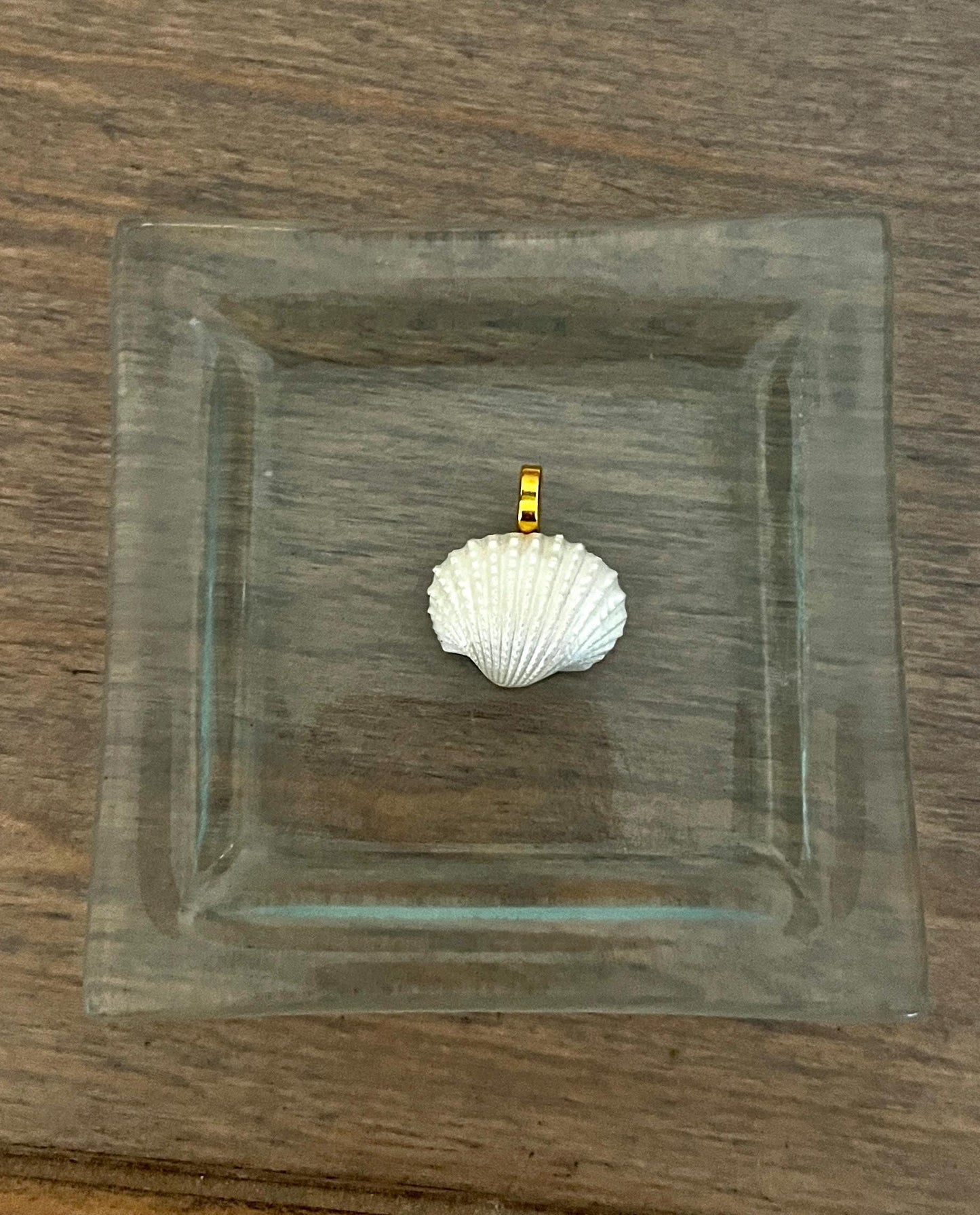 Luxe Seashell Pendant Charm - Medium