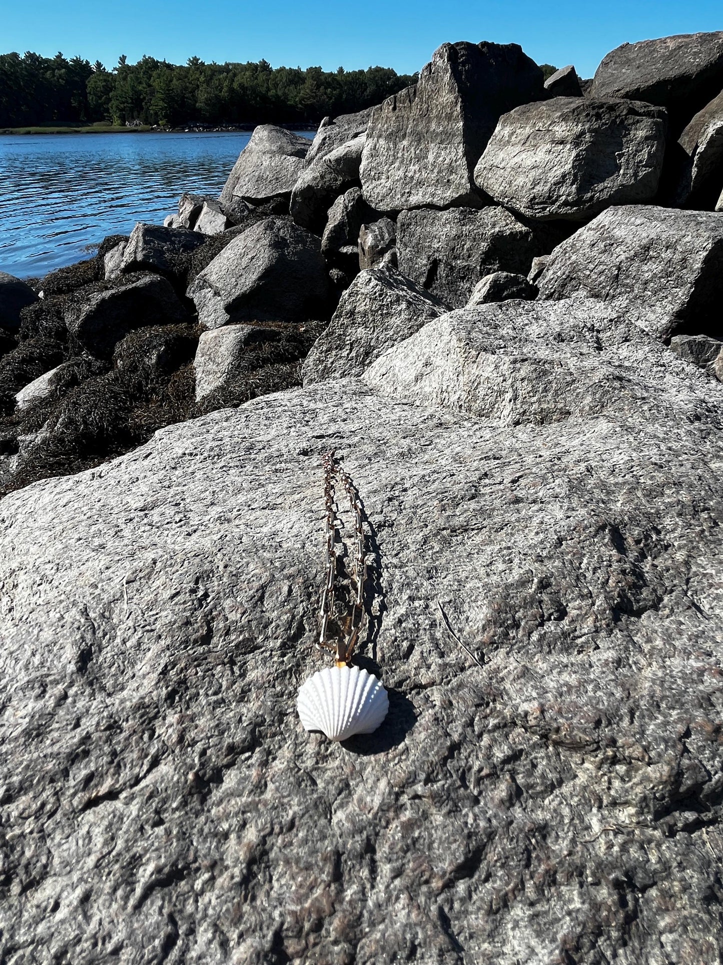 Luxe Seashell Pendant Charm - Medium