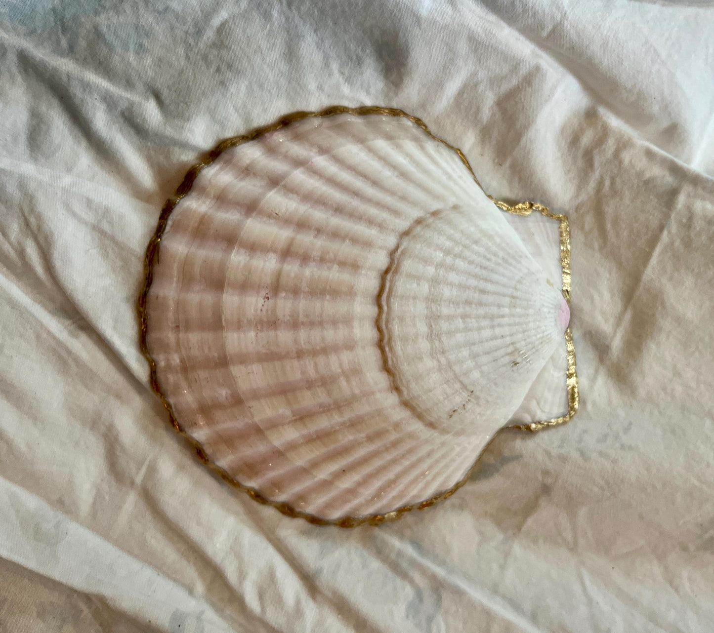 Fancy Gem Shell: Coastal Jewelry & Trinket Dish