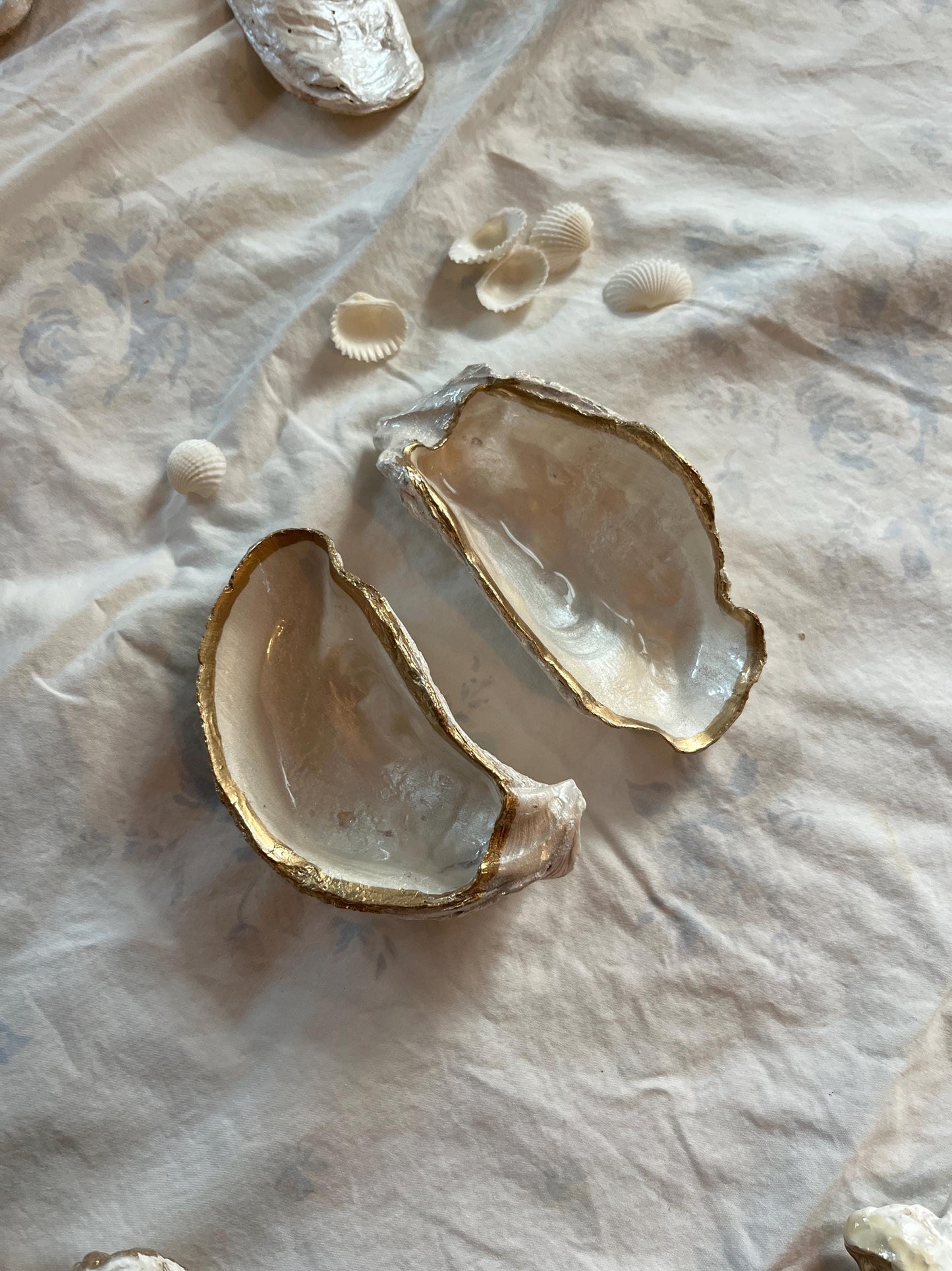 Pearly White Oyster Shell Jewelry & Trinket Dish