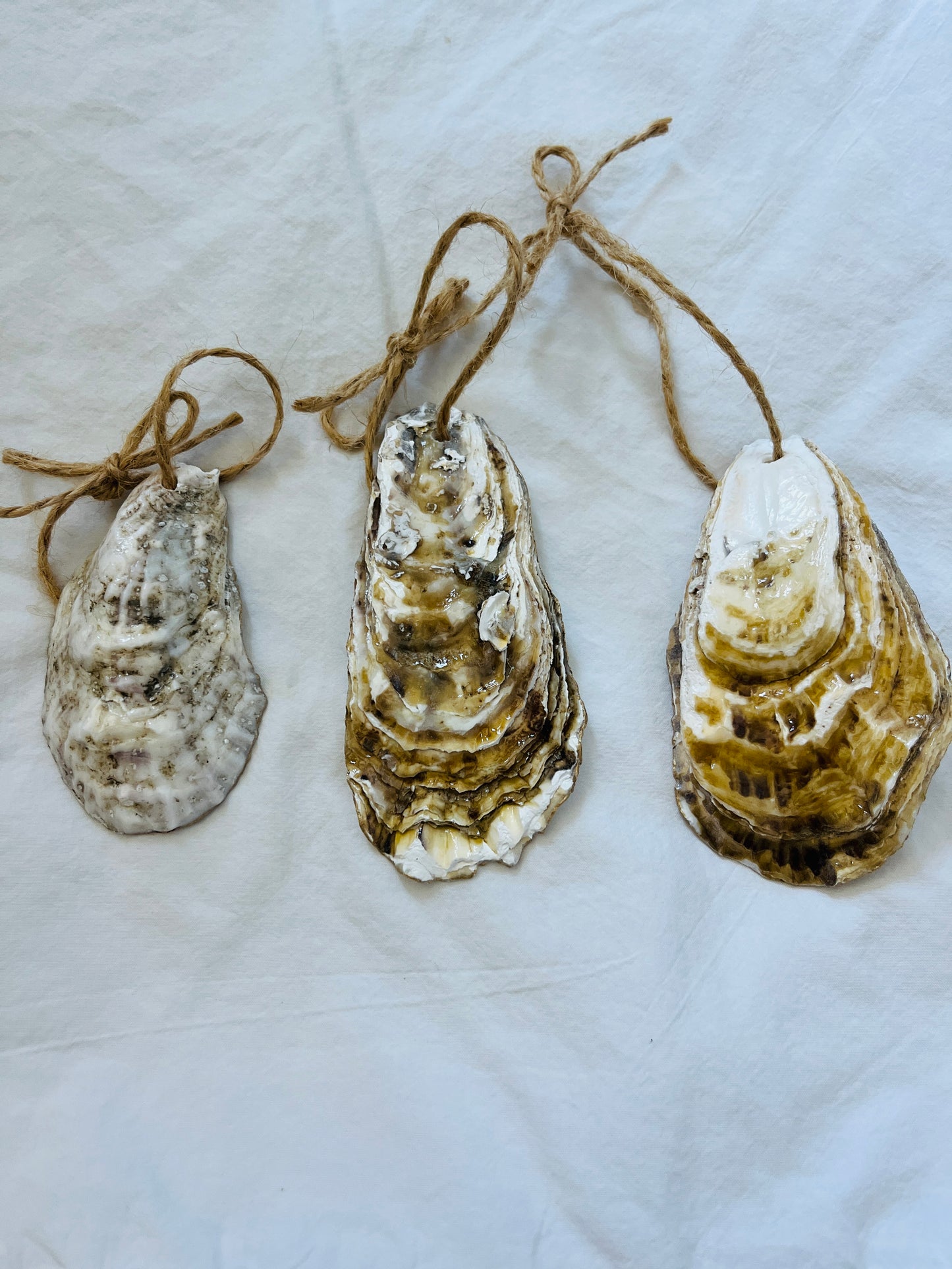 Christmas oyster shell ornaments