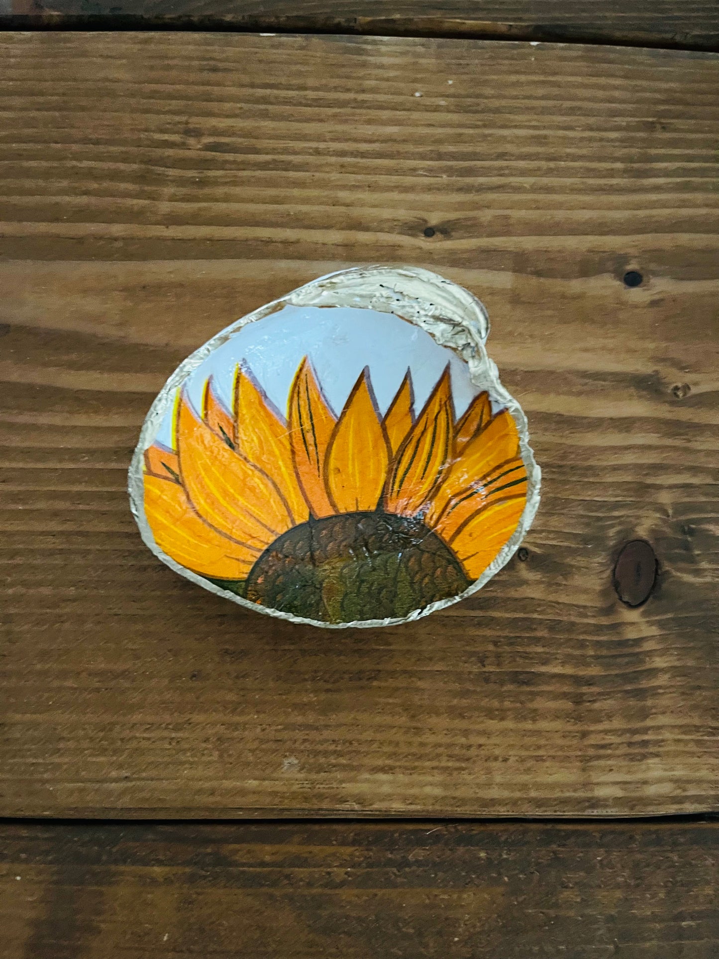Sunflower Shell