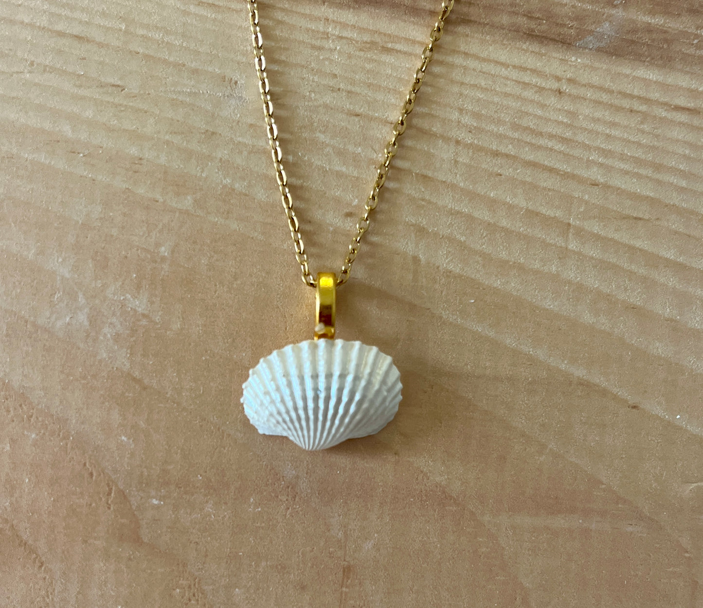 Scallop Seashell Pendant Charm - Small