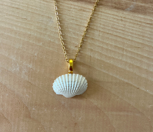 Scallop Seashell Pendant Charm - Small