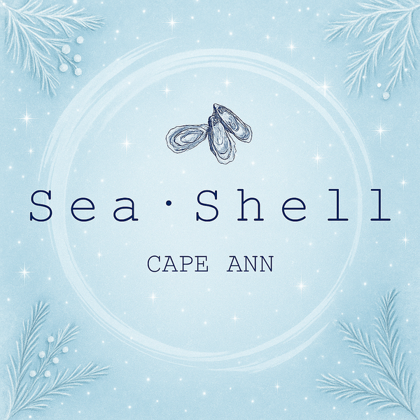 Seashell Cape Ann