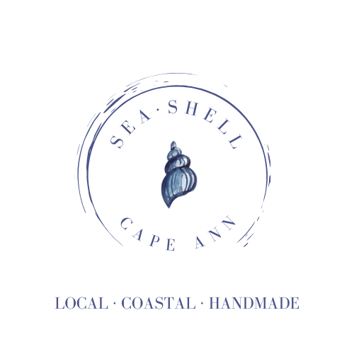 Seashell Cape Ann