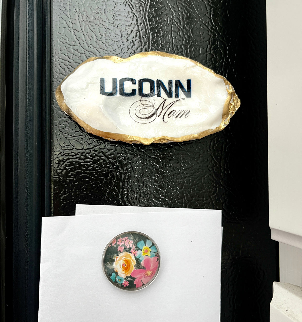 Ucon Shell UConn Mom Oyster Shell Magnet – Seashell Studio Cape Ann