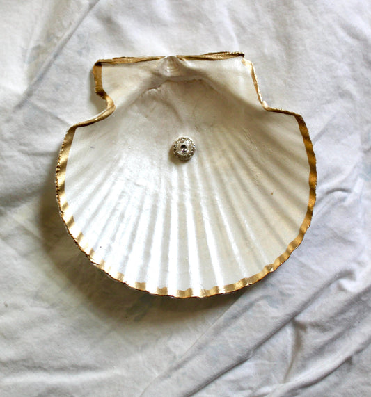 Fancy Gem Shell: Coastal Jewelry & Trinket Dish