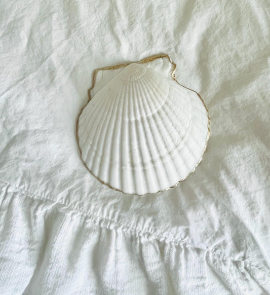 Garden Lover Shell: Coastal Trinket & Jewelry Dish