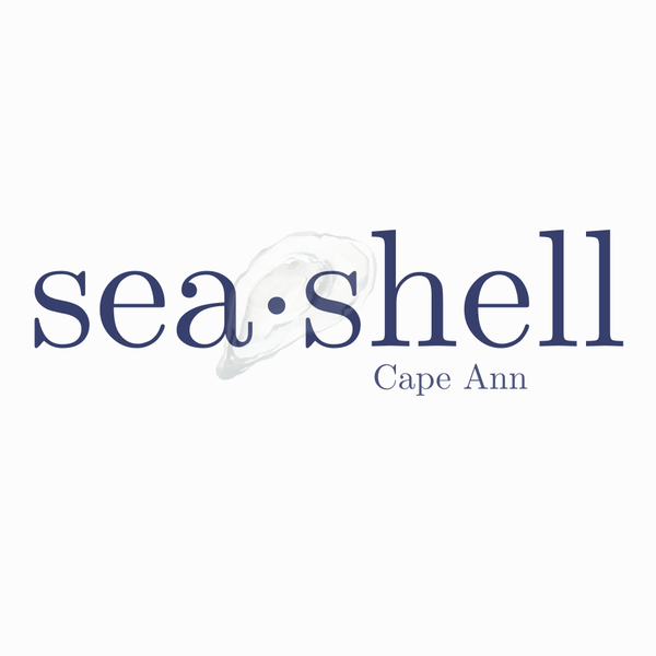 Seashell Cape Ann